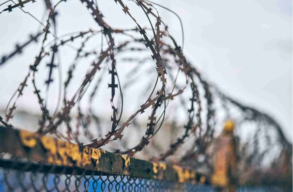 Barbed wire