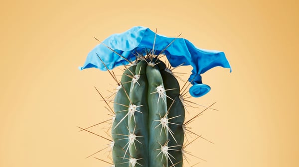 deflation cactus