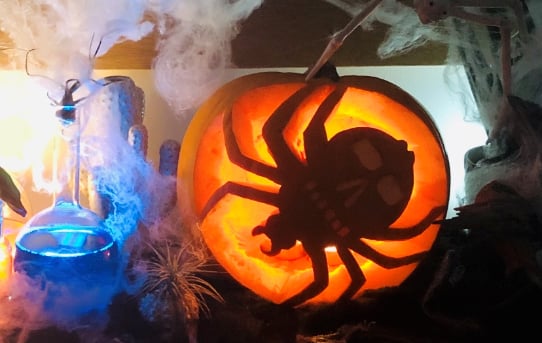 Halloween pumpkin spider