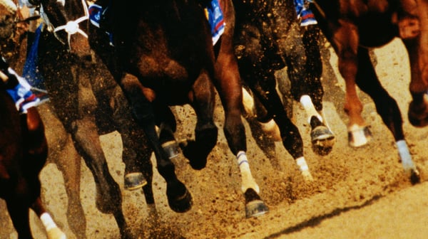 Horse racing feet