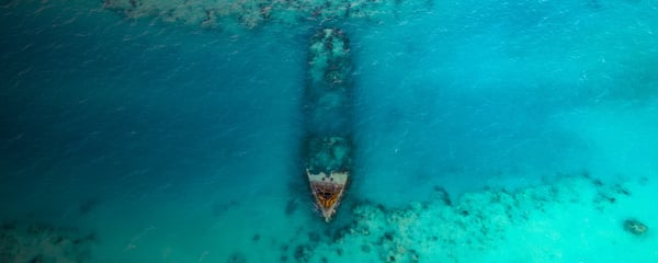 Aerial view of the sea